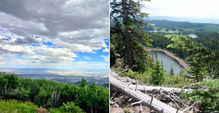 One Of The World’s Largest Flat-Topped Mountains Is A Colorado Road Trip Hiding In Plain Sight