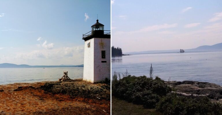 This Beautiful Stretch Of Maine Coast Has A Surprising Snake Problem