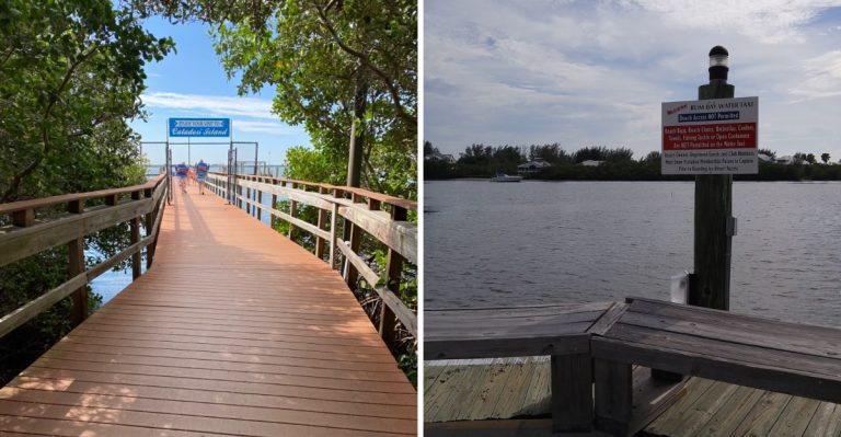 The 9 Best Florida Ferry Rides For Beautiful Water Views And Island Escapes