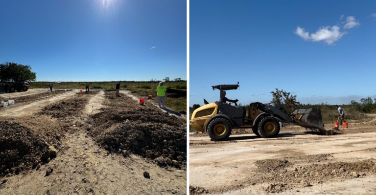 This Florida Fossil Site Lets You Split Open Rocks And Find Fossils Millions Of Years Old