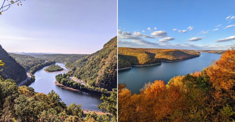 11 Pennsylvania Rivers Where Water Snakes Are Constantly Spotted