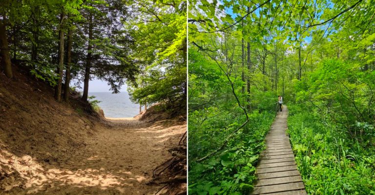 Michigan’s Tick Map Highlights The Counties Around These 12 Wooded Destinations