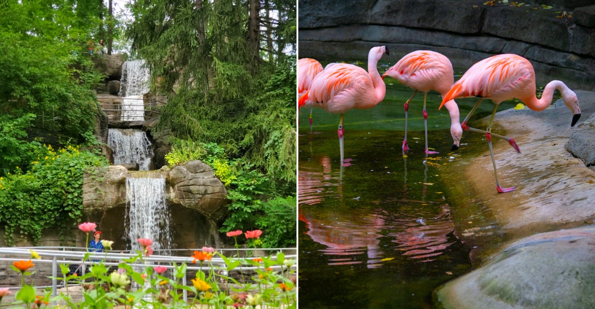 John Ball Zoo