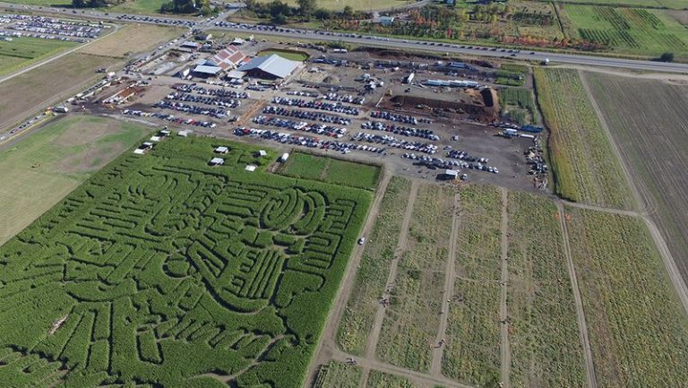 12 Washington Fall Festivals That Fill A Whole Town With Cider, Pumpkins, And Harvest Fun