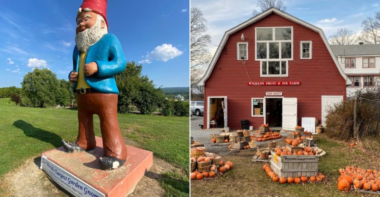 10 New York Orchards Where Fall Comes Alive Every September