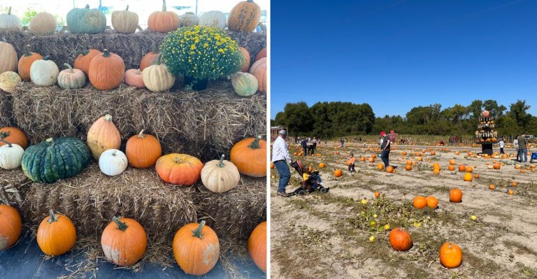 10 South Carolina Fall Festivals You Will Not Want To Miss This October