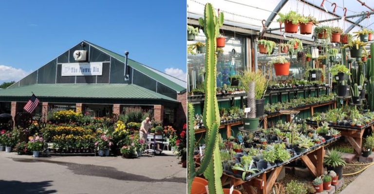 This Family-Run Colorado Plant Haven In Longmont Has Grown Its Own Greenhouse Plants Since 1971