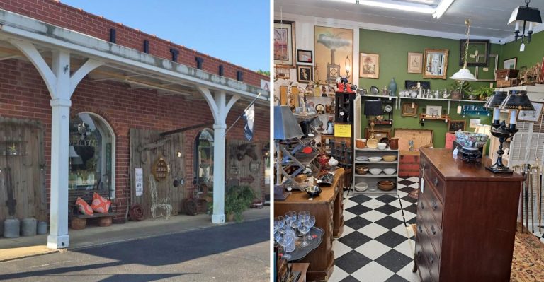10 Of South Carolina’s Biggest Secondhand Stores Are Packed With Road-Trip-Worthy Finds