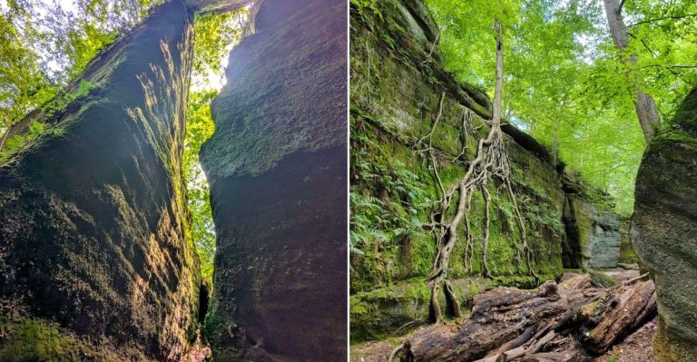 The Most Beautiful State Park Near Akron, Ohio Right Now