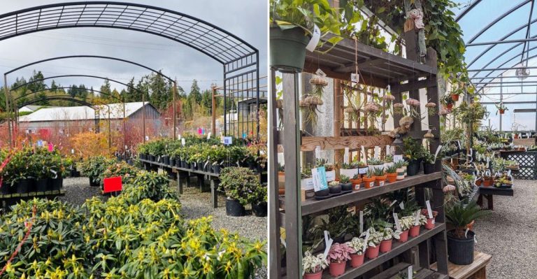 This Six-Acre Washington Garden Center Has An Answer Shack For Plant Problems