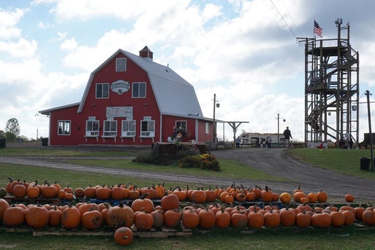 Every Autumn Weekend, 6 Small Illinois Towns Throw Harvest Festivals Worth The Drive