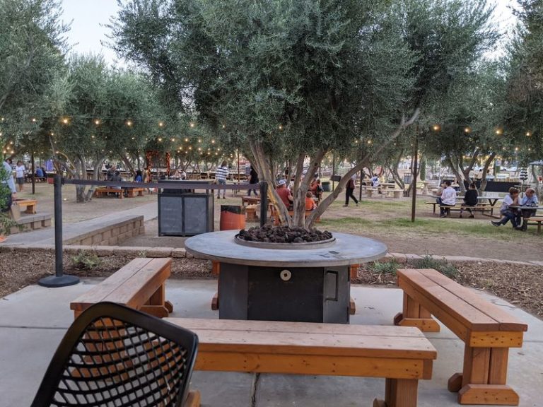 Fresh Olives Grow Right Here In Arizona, And This Grove Lets You Taste The Oil Straight From The Press