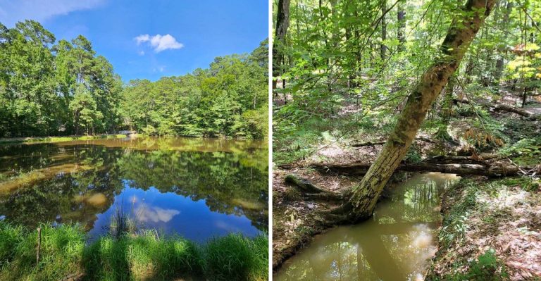 This Arkansas Park Has Streams And Wooded Trails That Feel Like A Quiet Escape Most Visitors Miss