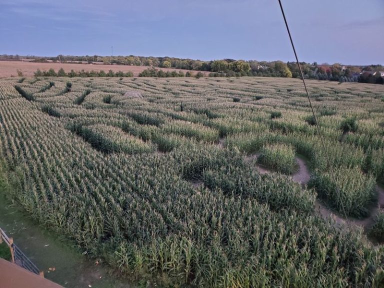 This Sprawling Illinois Corn Maze Hides Miles Of Twisting Paths You’ll Get Happily Lost In