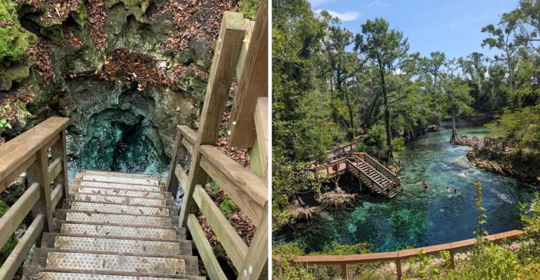 Locals Say This Florida Swimming Hole Is One Of The State’s Best Late Summer Escapes