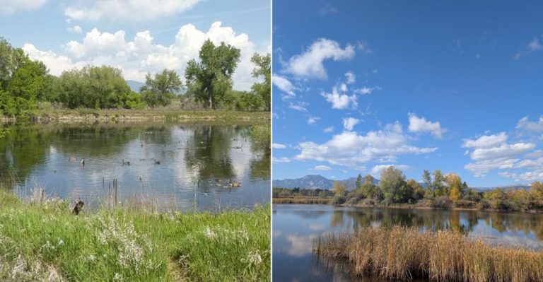 This Two-Mile Colorado Boardwalk Trail Winds Through A Hidden Bird Sanctuary Most Drivers Miss