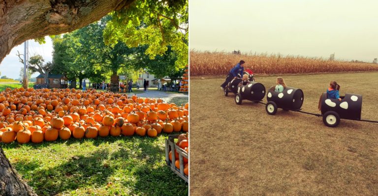 11 Family-Friendly Halloween Destinations In Ohio That Are More Fun Than Frightening