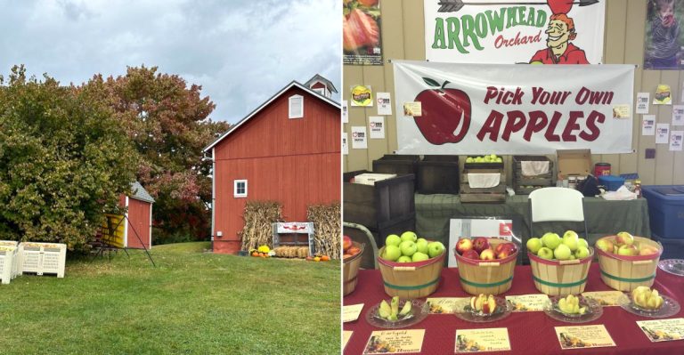 11 Ohio Orchard Bakeries Worth Visiting When The First Apples Arrive