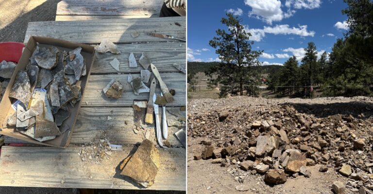 Split Shale And Keep 34-Million-Year-Old Fossils At This Private Colorado Quarry