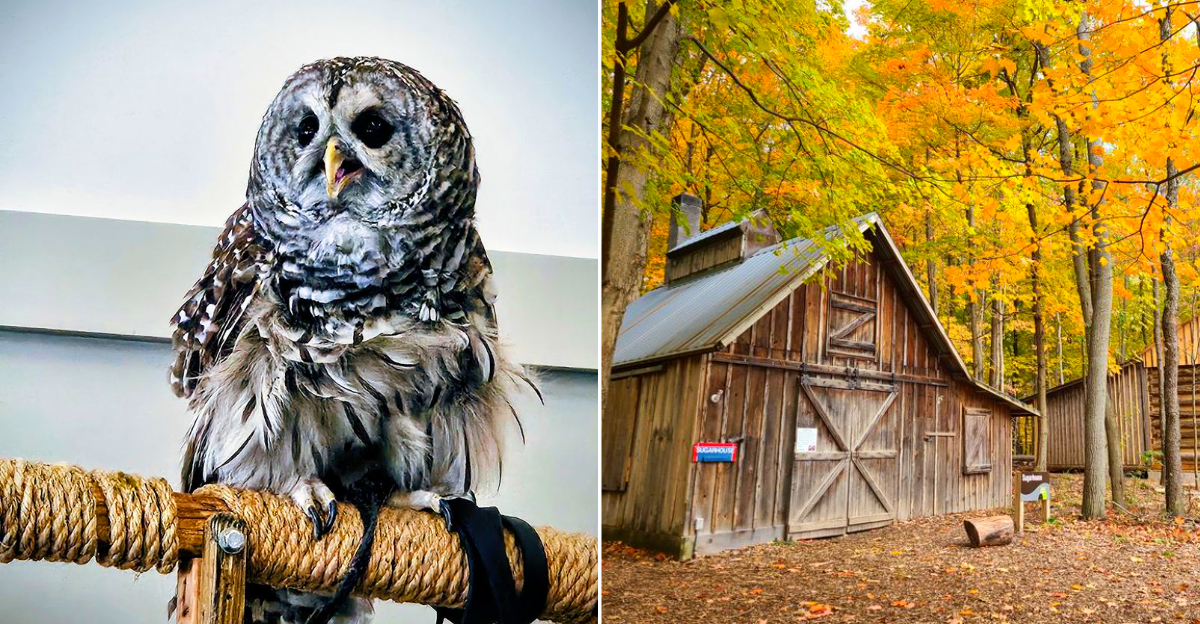 Blandford Nature Center