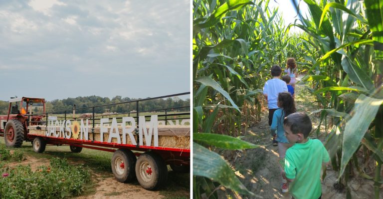 This Arkansas Fall Festival Has 45+ Activities, A Corn Maze And Hayrides