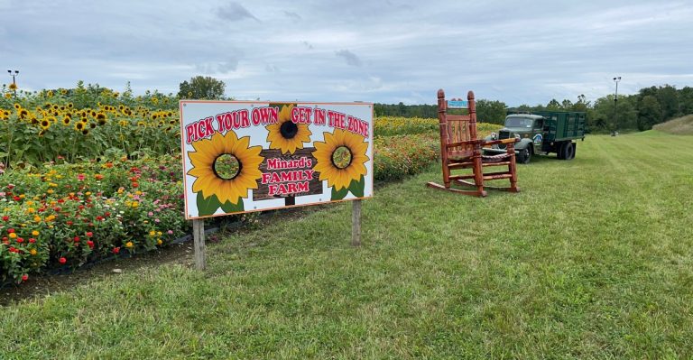 This New York Apple Orchard Is Getting Attention Far Beyond The State Line