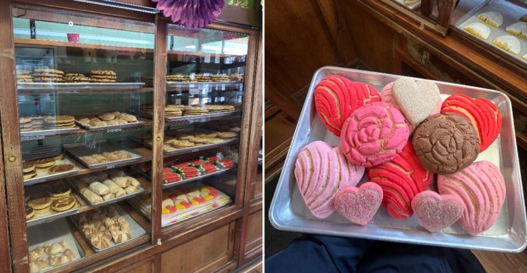 One Family Has Been Baking Conchas And Churros At This Illinois Panadería Since 1973