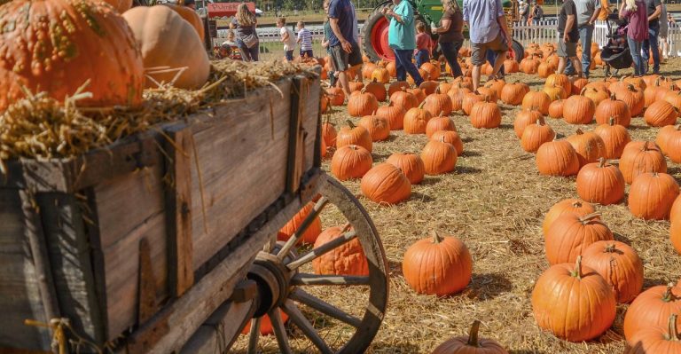 This South Carolina Farm Turns Into A Spooky Halloween Wonderland, And Families Drive Hours Just To See It