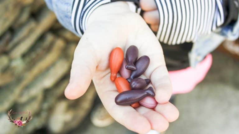 Kids Smart High DHA Fish Oil Chewable Burstlets
