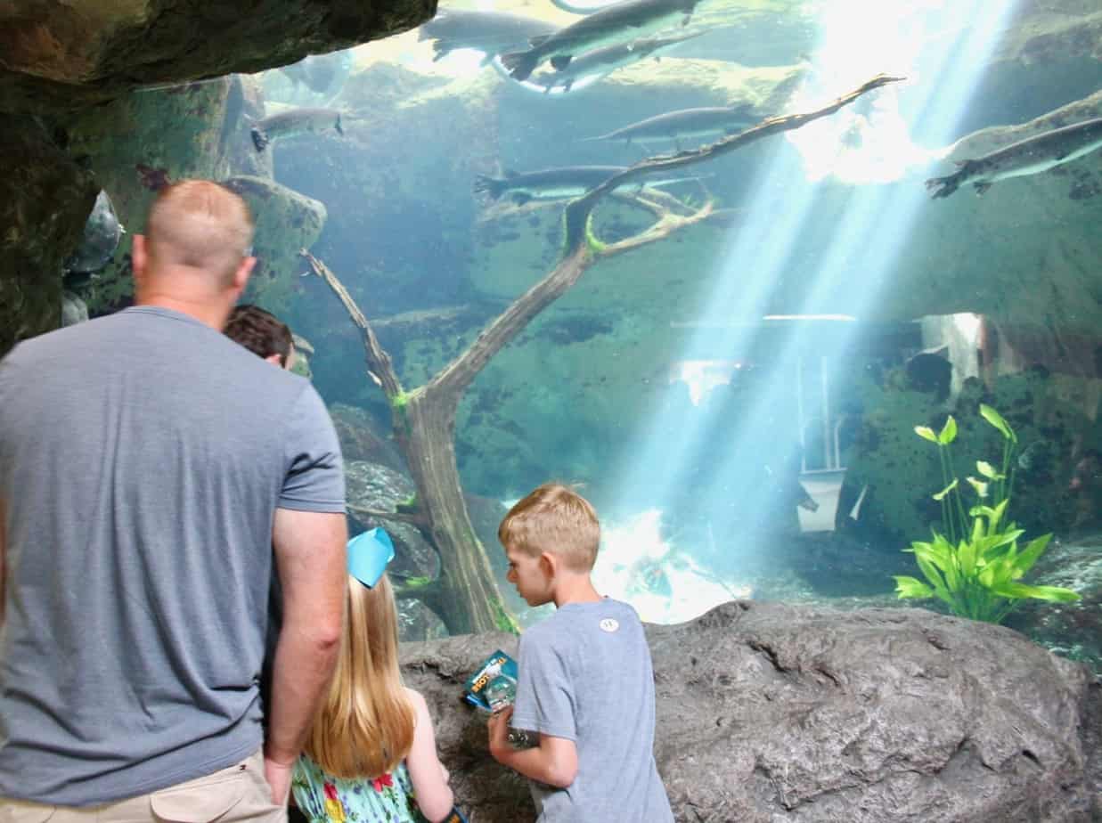 how long does it take to visit the florida aquarium