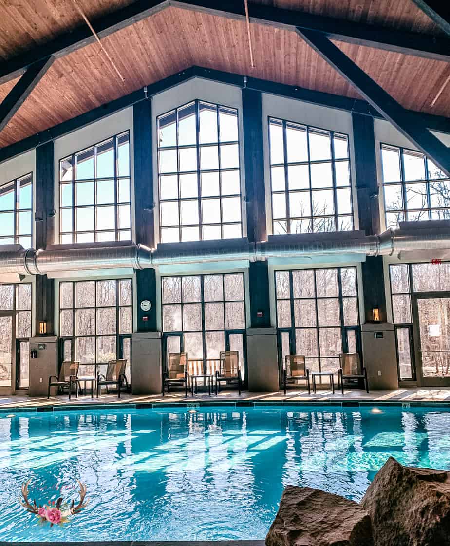 the lodge at woodloch forest bathing