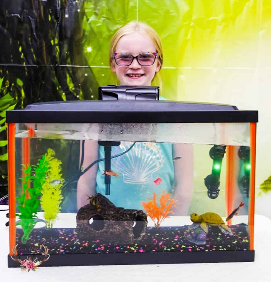 New Fish Checklist: How to Set Up a Fish Tank for Beginners