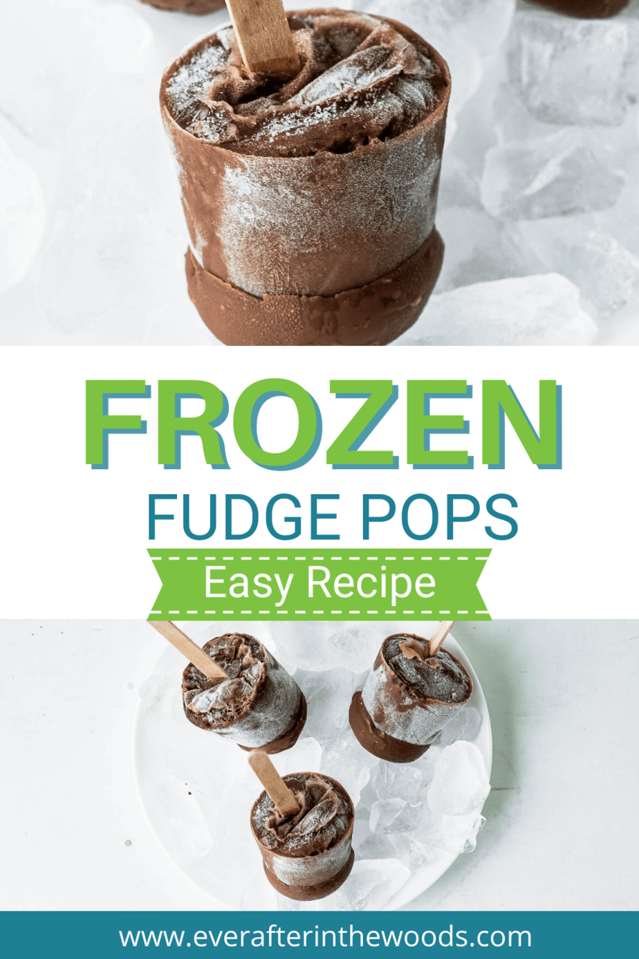 frozen pudding pops