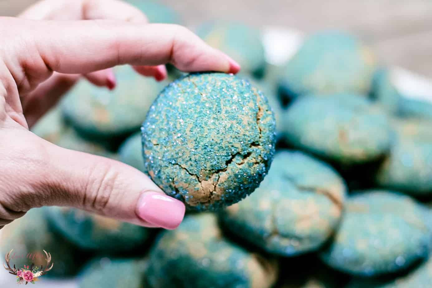 cinnamon spice cookie recipes