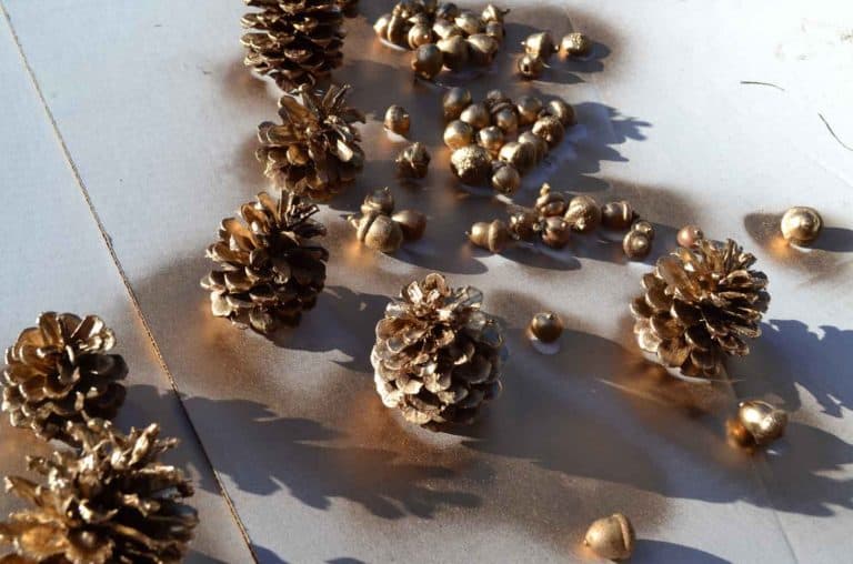 Cheap and Easy Way to Decorate for Fall with Gold Spray Paint