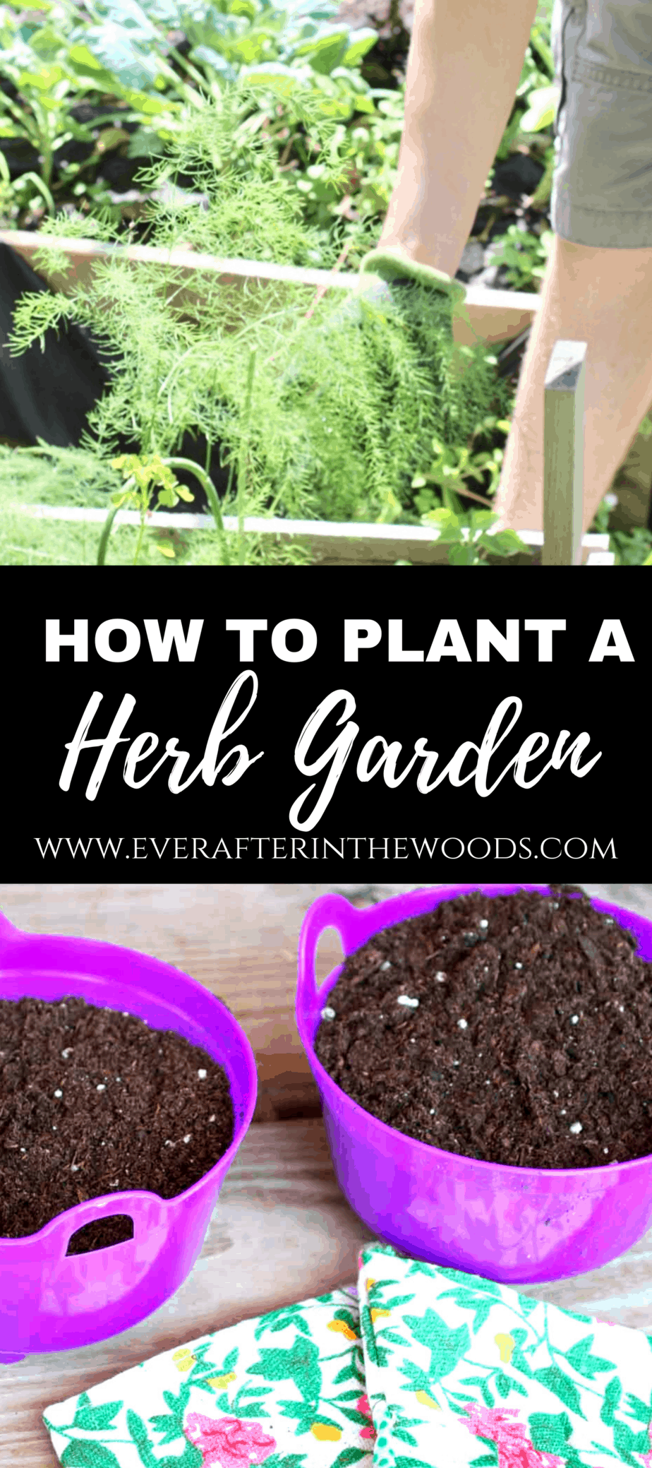 plant an herb garden