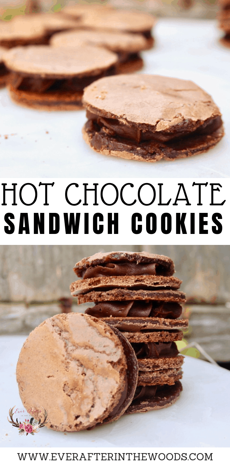 chocolate sandwich cookies