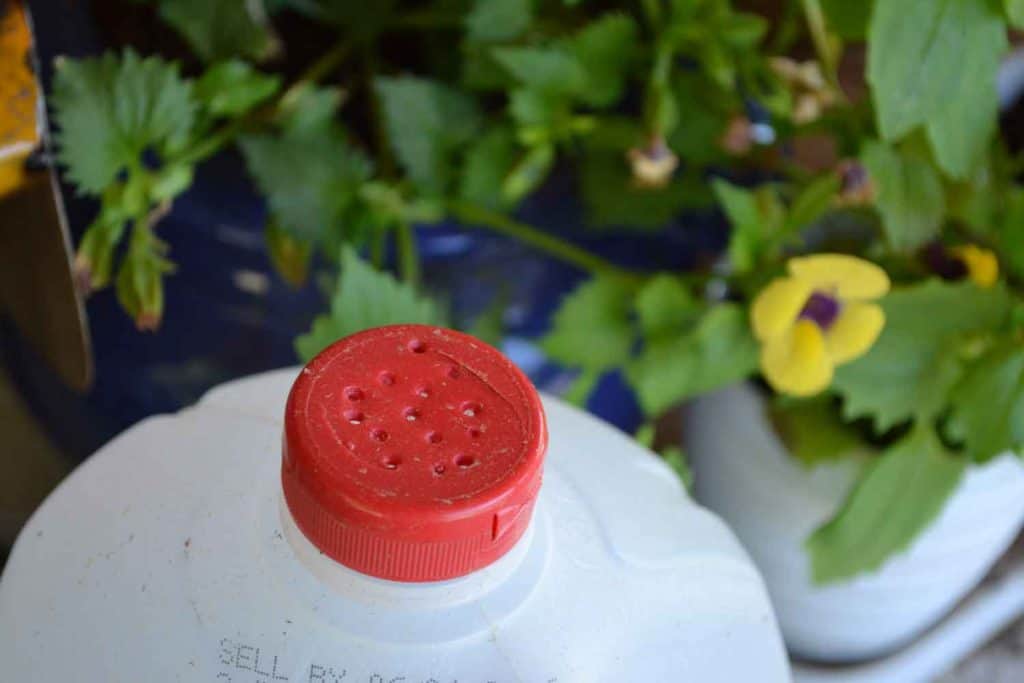 how-to-make-a-watering-can-from-a-milk-jug-for-kids