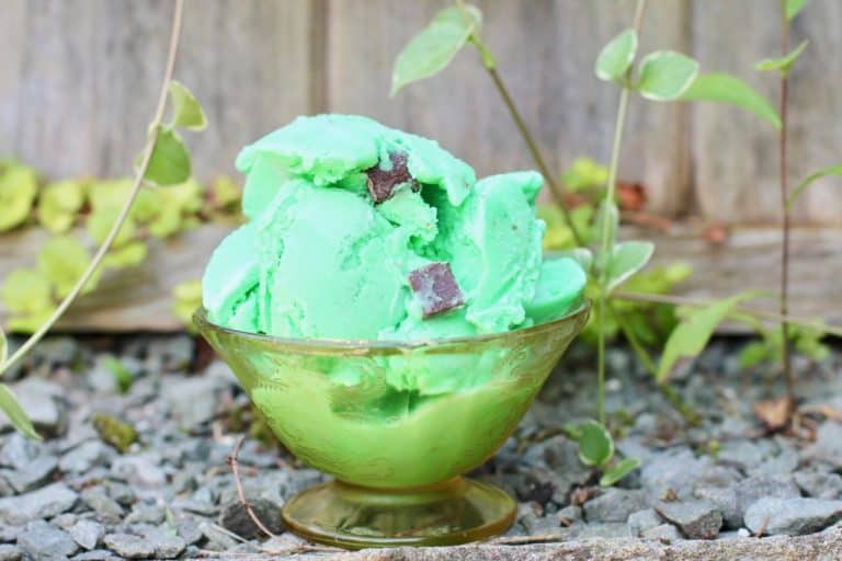 mint chocolate chip ice cream recipe