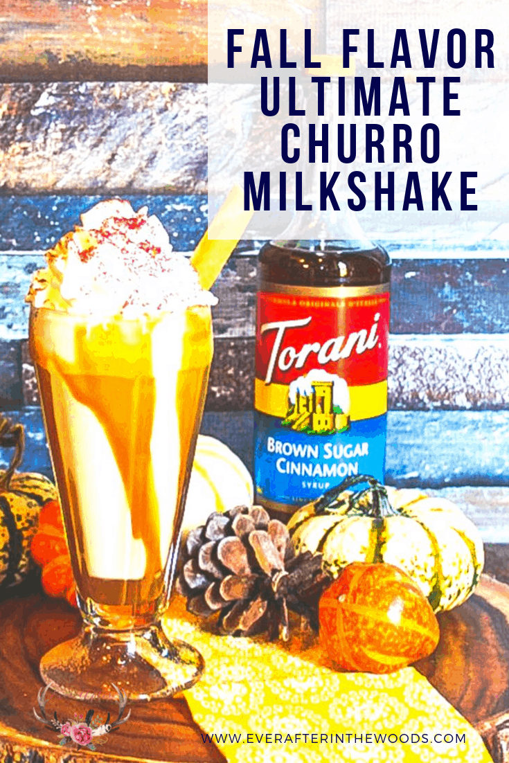 Fall Churro Milkshake Recipe with Torani Syrup