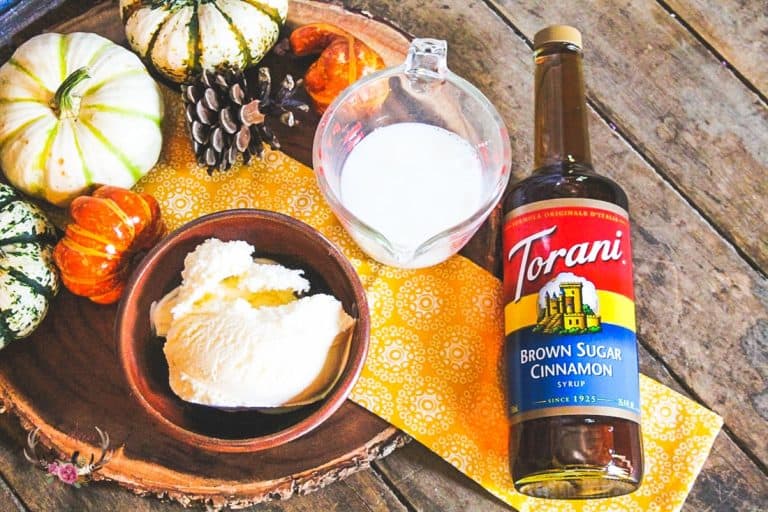 Fall Churro Milkshake Recipe with Torani Syrup Ever After in the Woods