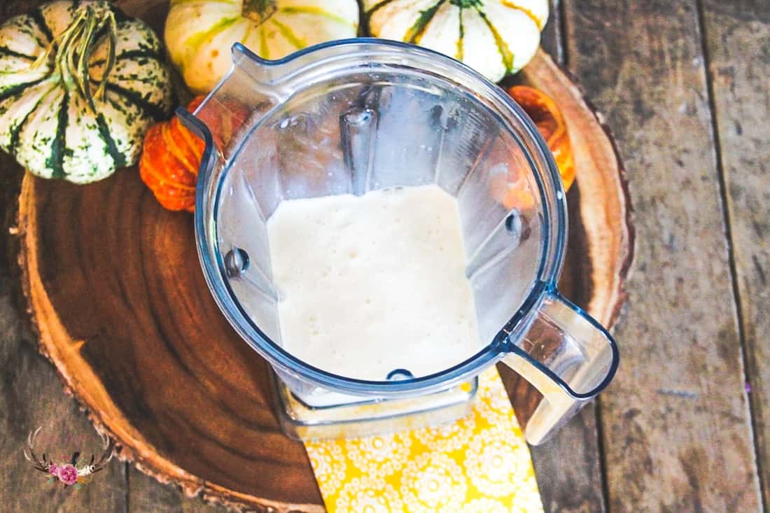 Fall Churro Milkshake Recipe with Torani Syrup