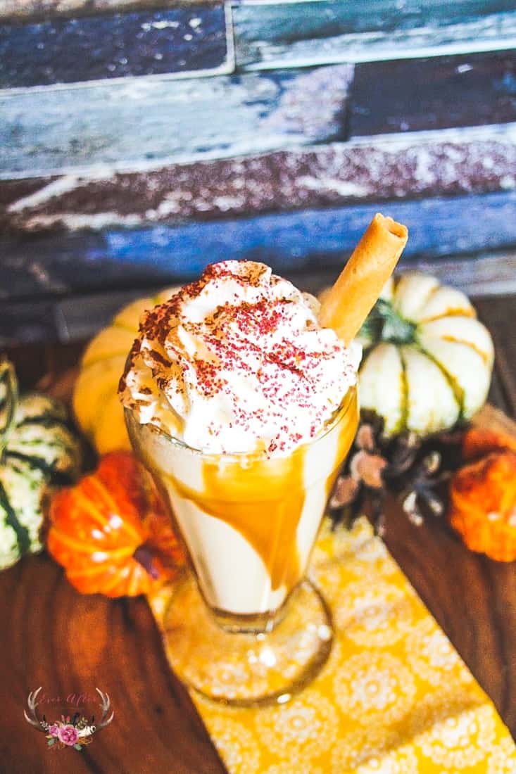 Fall Churro Milkshake Recipe with Torani Syrup