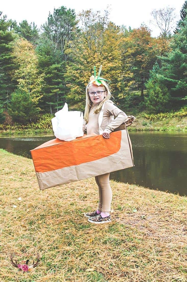 easy pumpkin pie costume