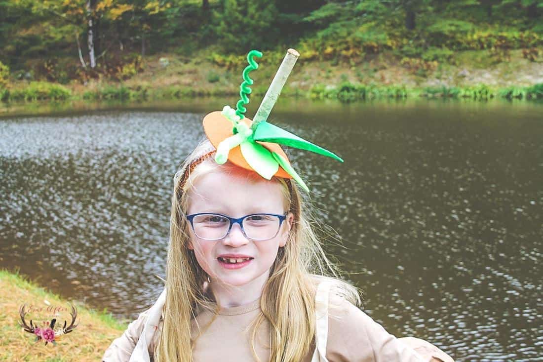 easy pumpkin pie costume