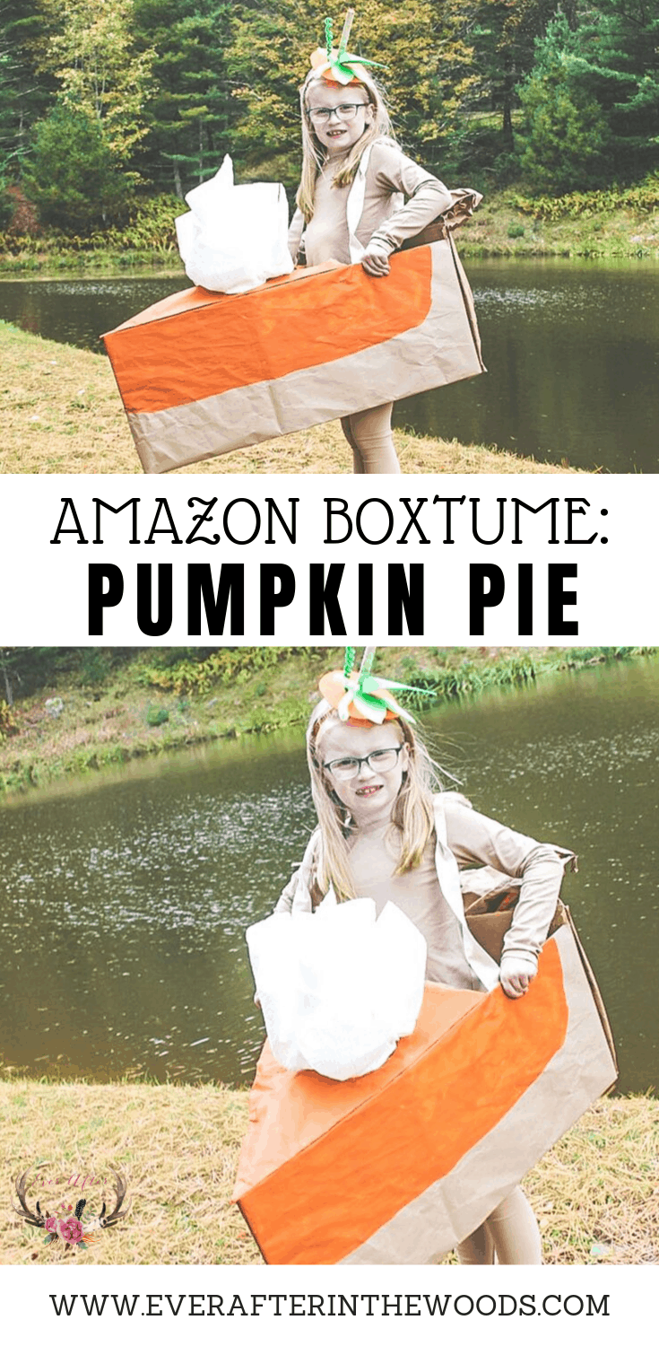 easy pumpkin pie costume