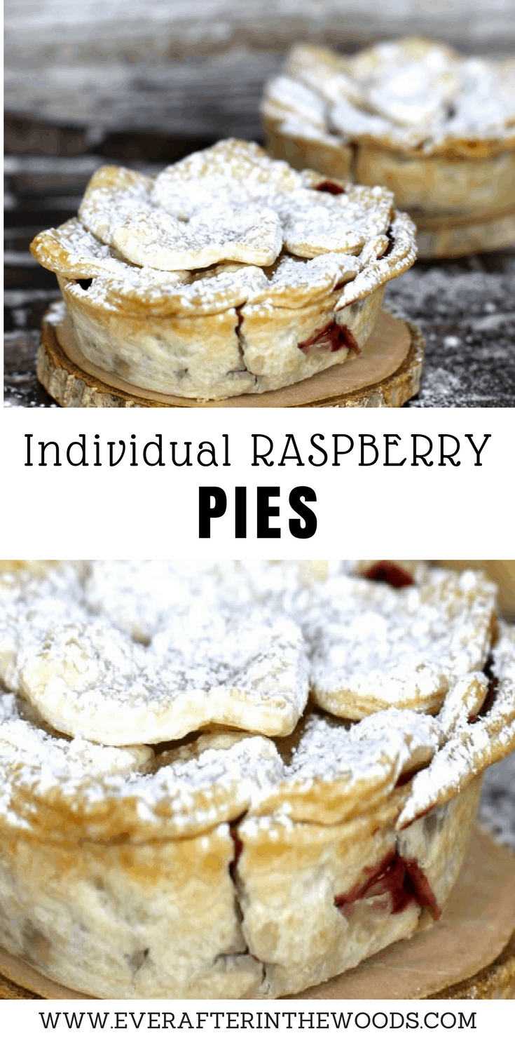 how to make individual pies using pampered chef pan