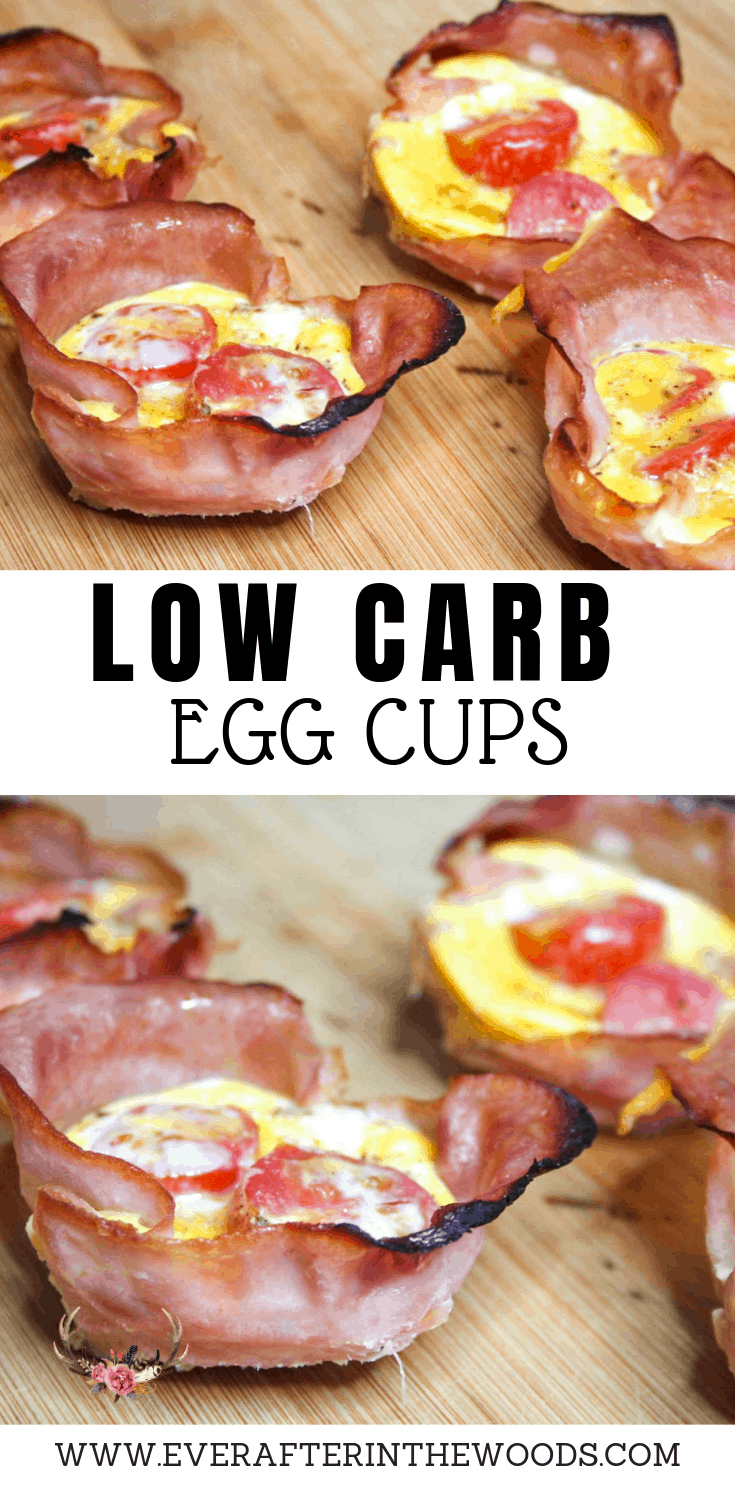 high protein low carb breakfast ideas
