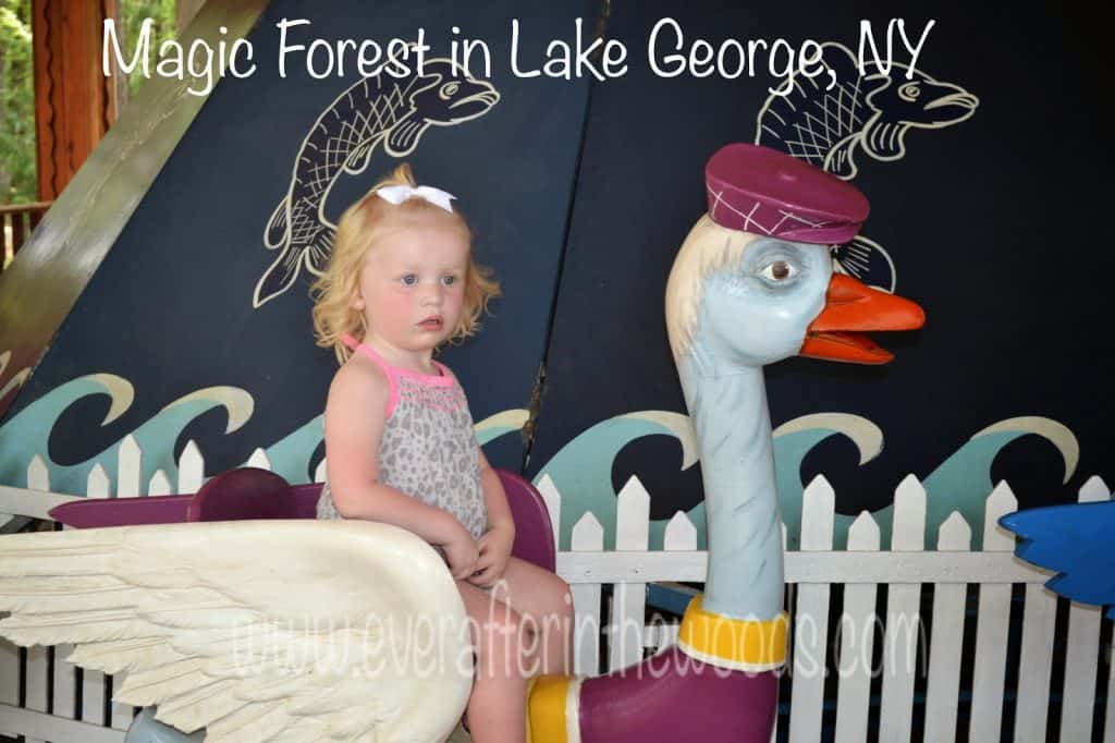 the magic forest lake george ny
