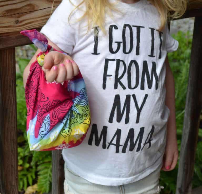 Easy Summer No-Sew Snack Bags